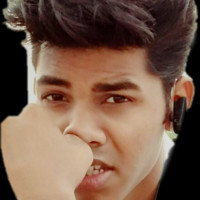 Md Inzamam Hussain