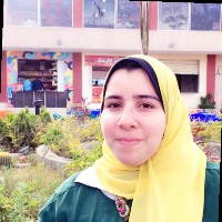 Heba Abed