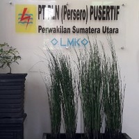 Dwi Ikasari
