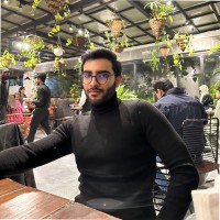 Sarim Areeb