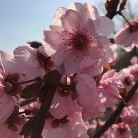 李疆涛