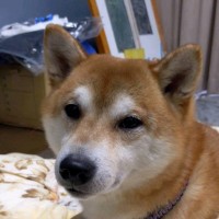 Satoko Miwa