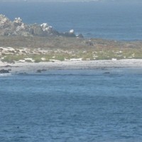 victor alfonso rosales balboa