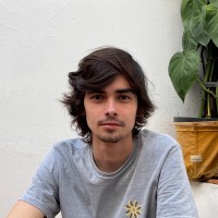 Gabriel Martins