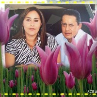 LILIANA DOMINGUEZ
