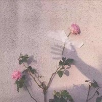 朱婷燕
