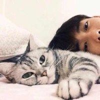 曹奕杰
