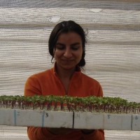 Alejandra Martin Barroilhet