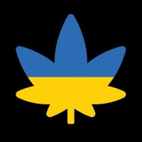 Nazariy Sovsun