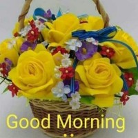 Rajveer Dhillon