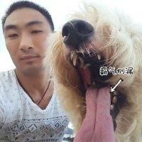 情有独钟