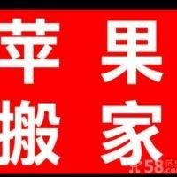 肖晓榆