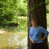 Sandra Crowe