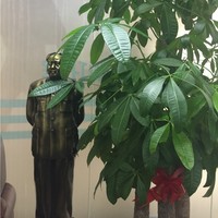 熊良军