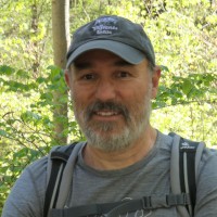Martin Wenk