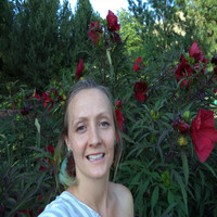 Cindy Hallows