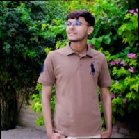 Muhammad Ilyas Raza