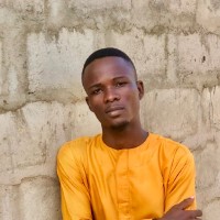 Amédée Emmanuel HOUNGBEDJI