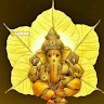binitha bini