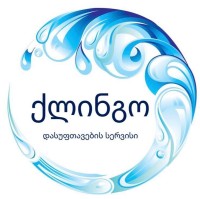Clean Go
