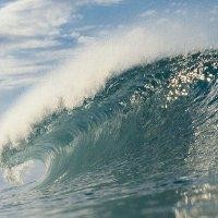 黄胜雄
