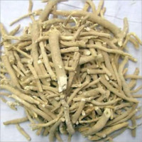 Al Fiza Herbal