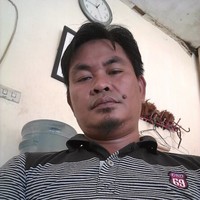 ade chandra