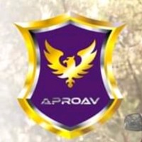 Bruno Alexandre Oliveira Martins