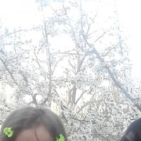 Zima Zilo