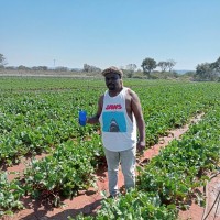 Felix Hloniphani Ndlovu