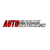 Auto Nesian