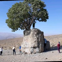 حسن قریشی