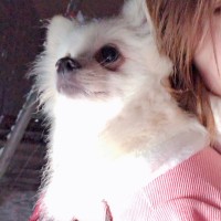 孔阿离