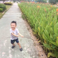 Thi Minh Ly Nguyen