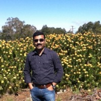 Manoj G Nair