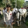 Aynul Sk