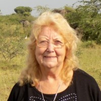 Ann McCarthy