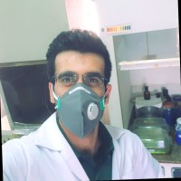 Hamed Fayaz Rouhi