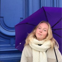 Merel Van Steenis
