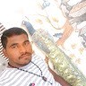 Gajendra D Gajendra