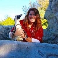 Amanda (Wheeler) Burdick