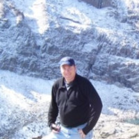 Mark Bitner