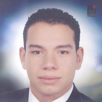 Amr Abd El-Hamed Soliman