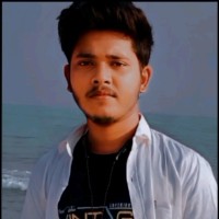 Partha Muduli