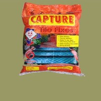 The Capture