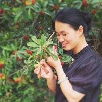 陈玉娥
