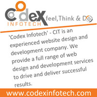 codex infotech