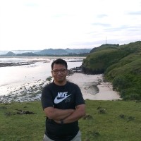 Budhi Sarwiadi