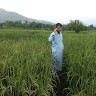 Subhan ullah