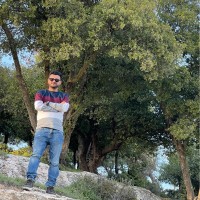 majd allan